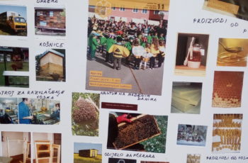 Projekt “Pčele” u skupini Bubamare