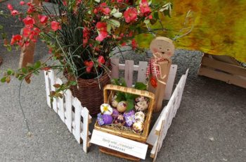 Vuzmena košarica 2017