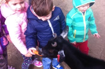 Ježići i “Leptirići” obilježili Svjetski dan zaštite životinja