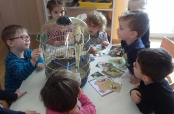 Projekt “Naši kućni ljubimci” u skupini Kikići