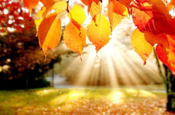 ČAROLIJA JESENI U NAŠEM VRTIĆU