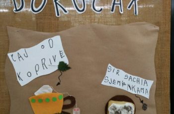 UPOZNAJMO CHIA SJEMENKE I KOPRIVU