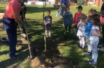 DJEČJI VRTIĆ MASLAČAK PODRŽAO AKCIJU “ZASADI DRVO NE BUDI PANJA”