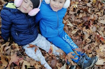 Ježići o svim bojama jeseni