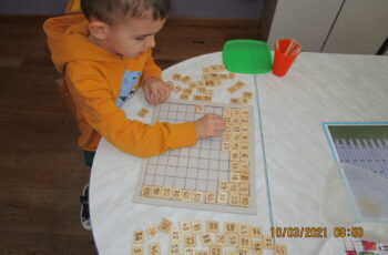 MATEMATIKA KAO IGRA U PČELICAMA