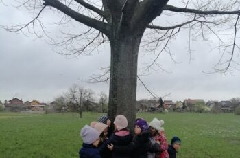 Tjedan zdravlja u Ježićima