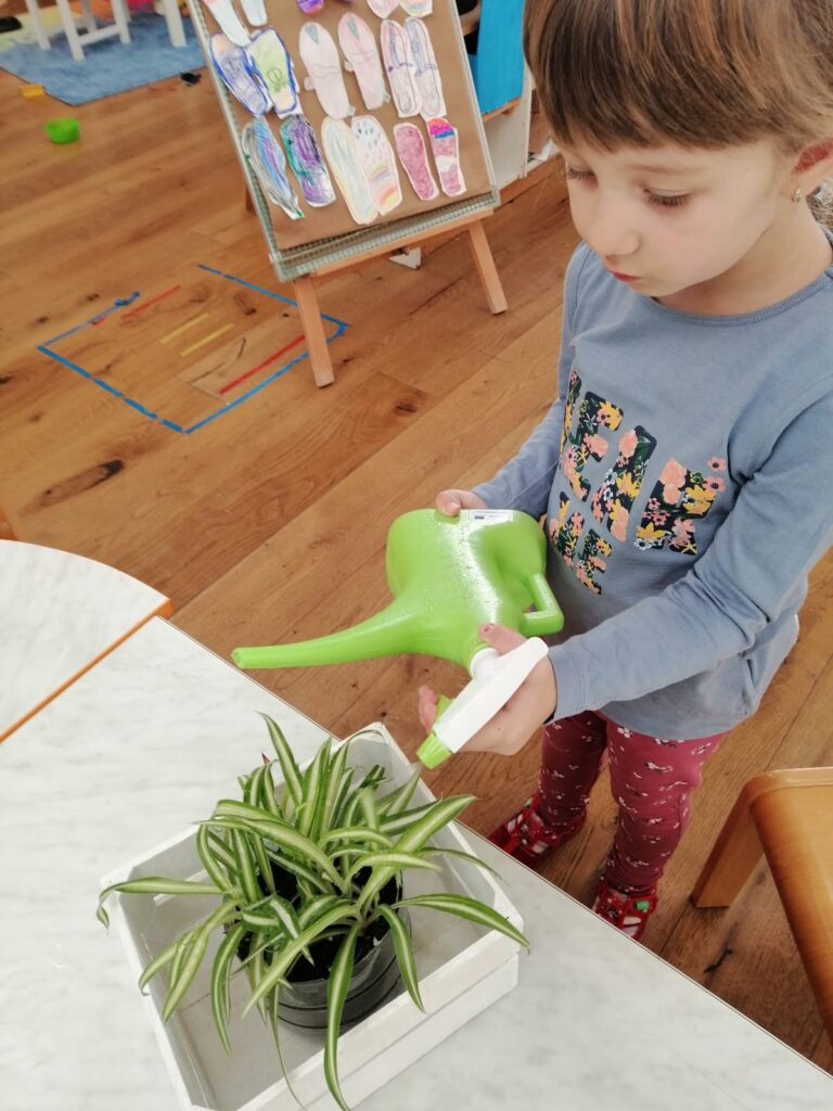 KAKO SMO ČEKALI PROLJEĆE U GLJIVICAMA