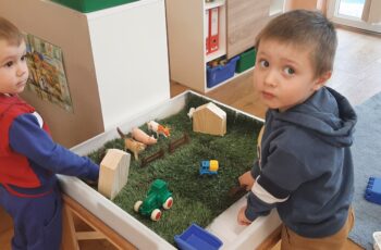 DOMAĆE ŽIVOTINJE U SRČEKIMA