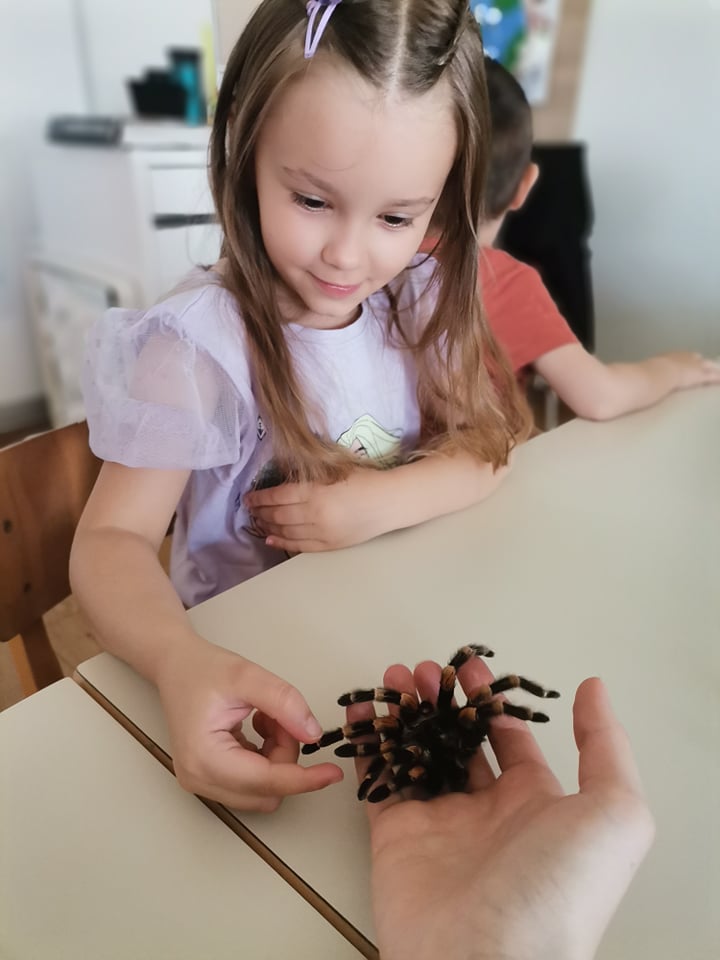 ZEBRICE PROUČAVAJU PAUKE I KUKCE