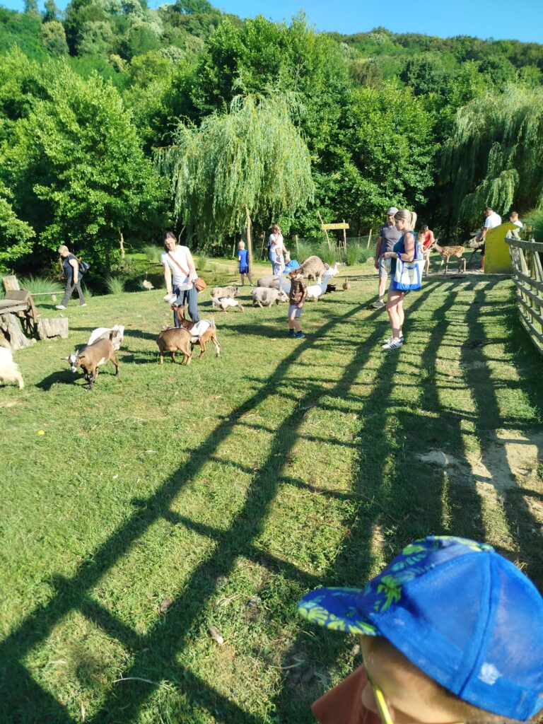 LIMAČI NA GRGINOM KONAKU