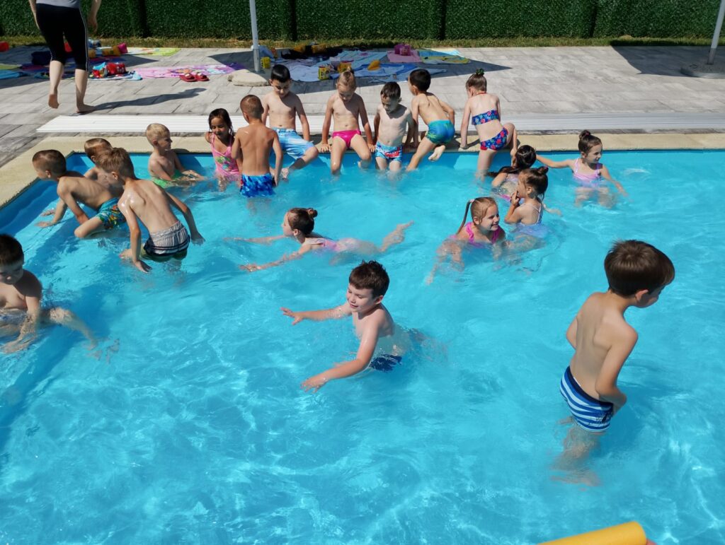 LJETNE AVANTURE MRAVIĆA I PANDICA
