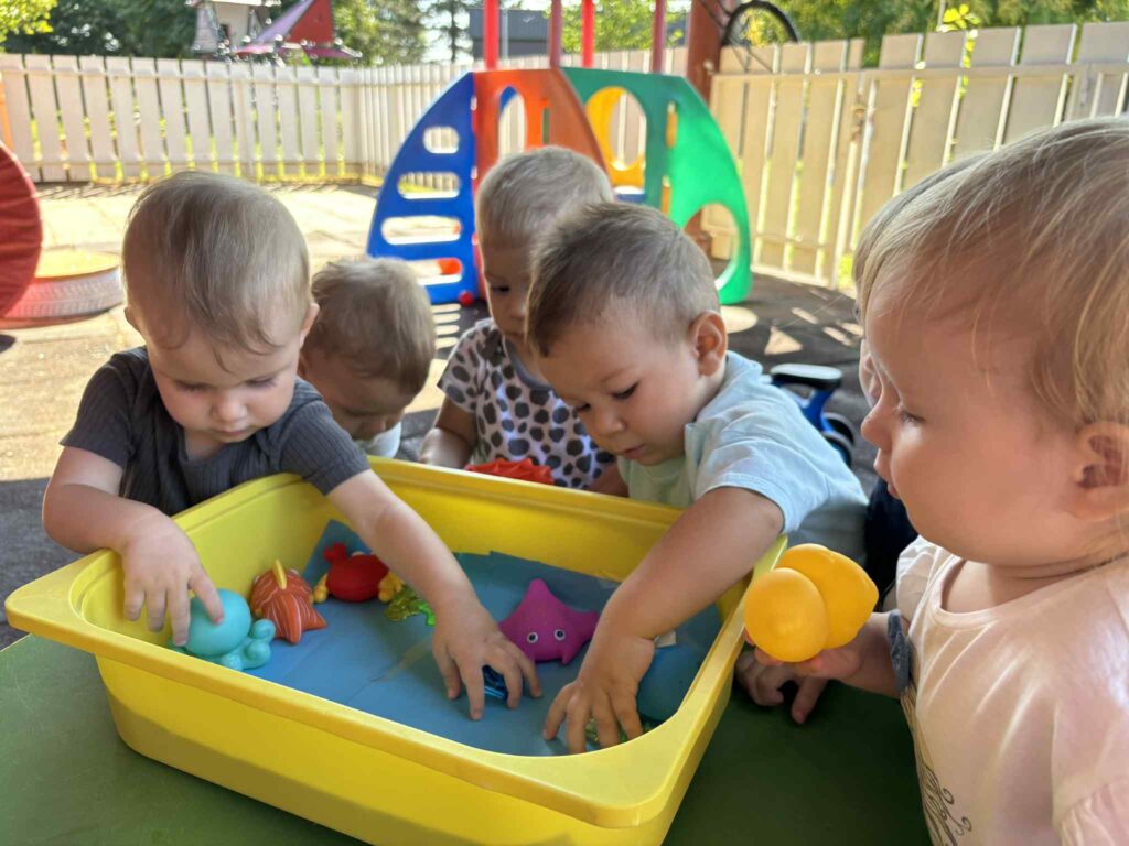 ČUDESAN SVIJET MORA I MORSKIH ŽIVOTINJA