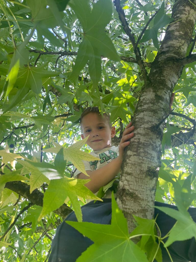 IGRA, SMIJEH I SLOVA – PRIČA MRAVIĆA NOVA