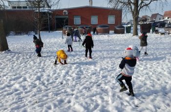 MIŠIĆI PROUČAVAJU ZIMU