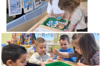 ČUDESAN SVIJET POLARNIH ŽIVOTINJA