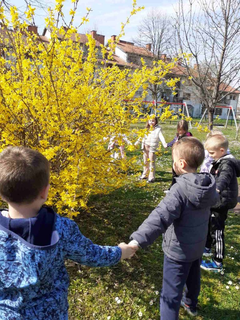 MEDVJEDIĆI VOLE PROLJETNICE