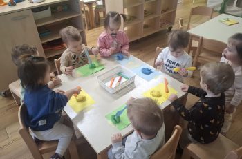ČAROBAN SVIJET BOJA U SUNČEKIMA