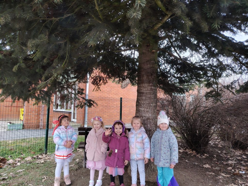 PTIČICE ZIMI – BRIGA ZA NAŠE MALE PRIJATELJE