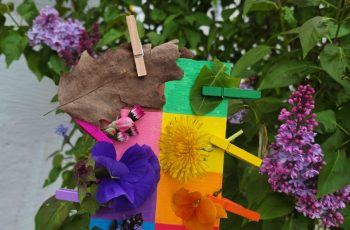 TJEDAN ZDRAVLJA U LIMAČIMA