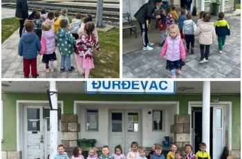 PROMET U SKUPINI PUŽIĆI
