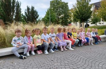 ŠARENILO JESENI U SLONIĆIMA