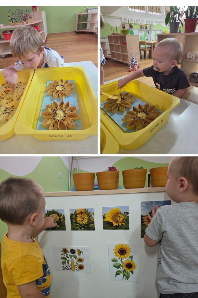 KAKTUSIĆI I NOVE POBJEDE